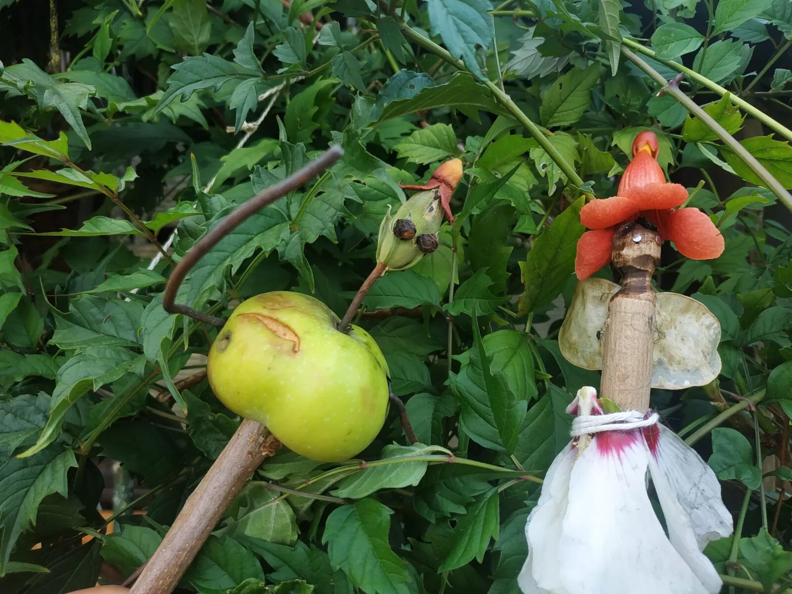 other image representing the theatre